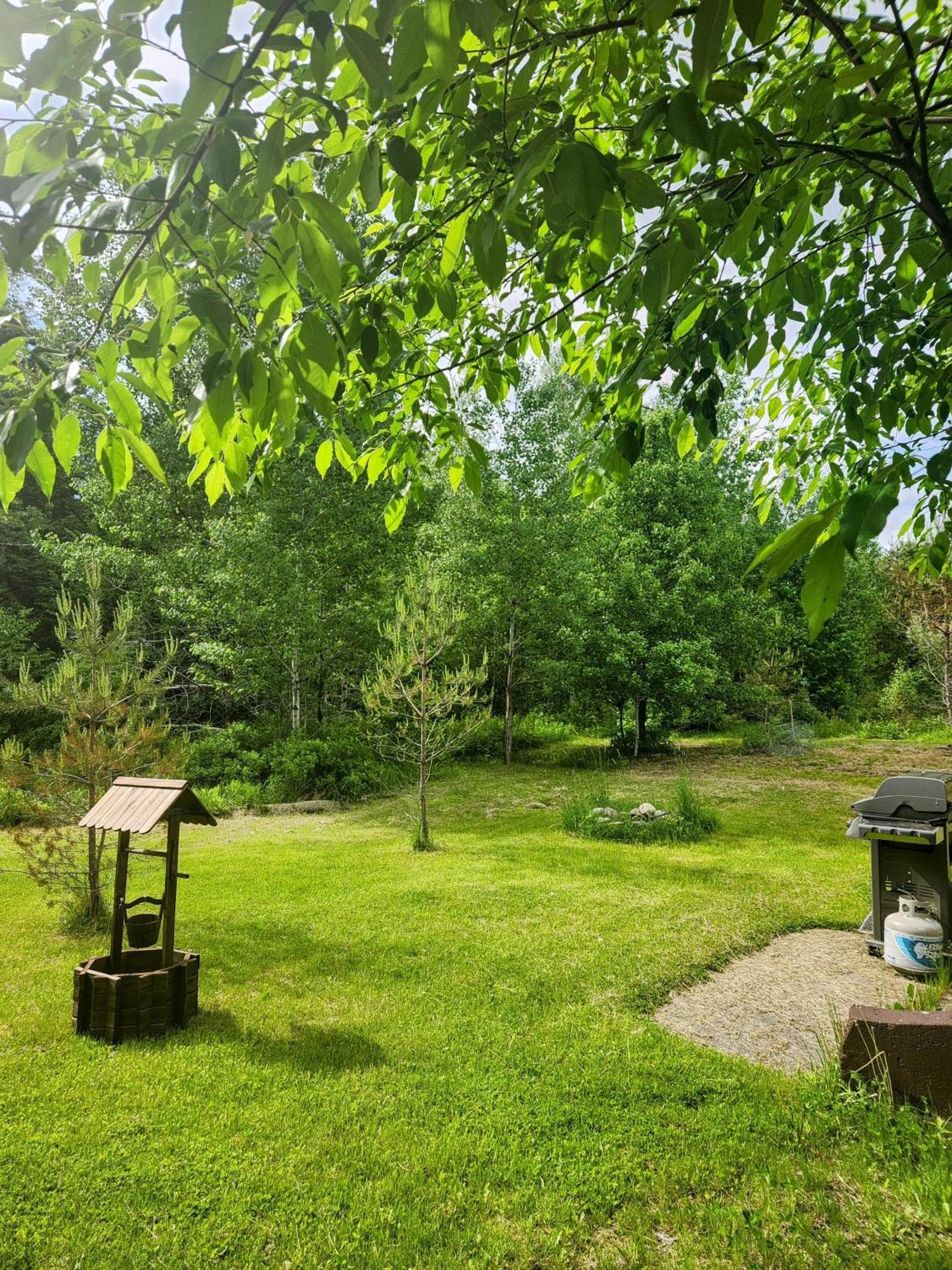 فيلا Backyard Bliss In The White Mountains لينكون المظهر الخارجي الصورة