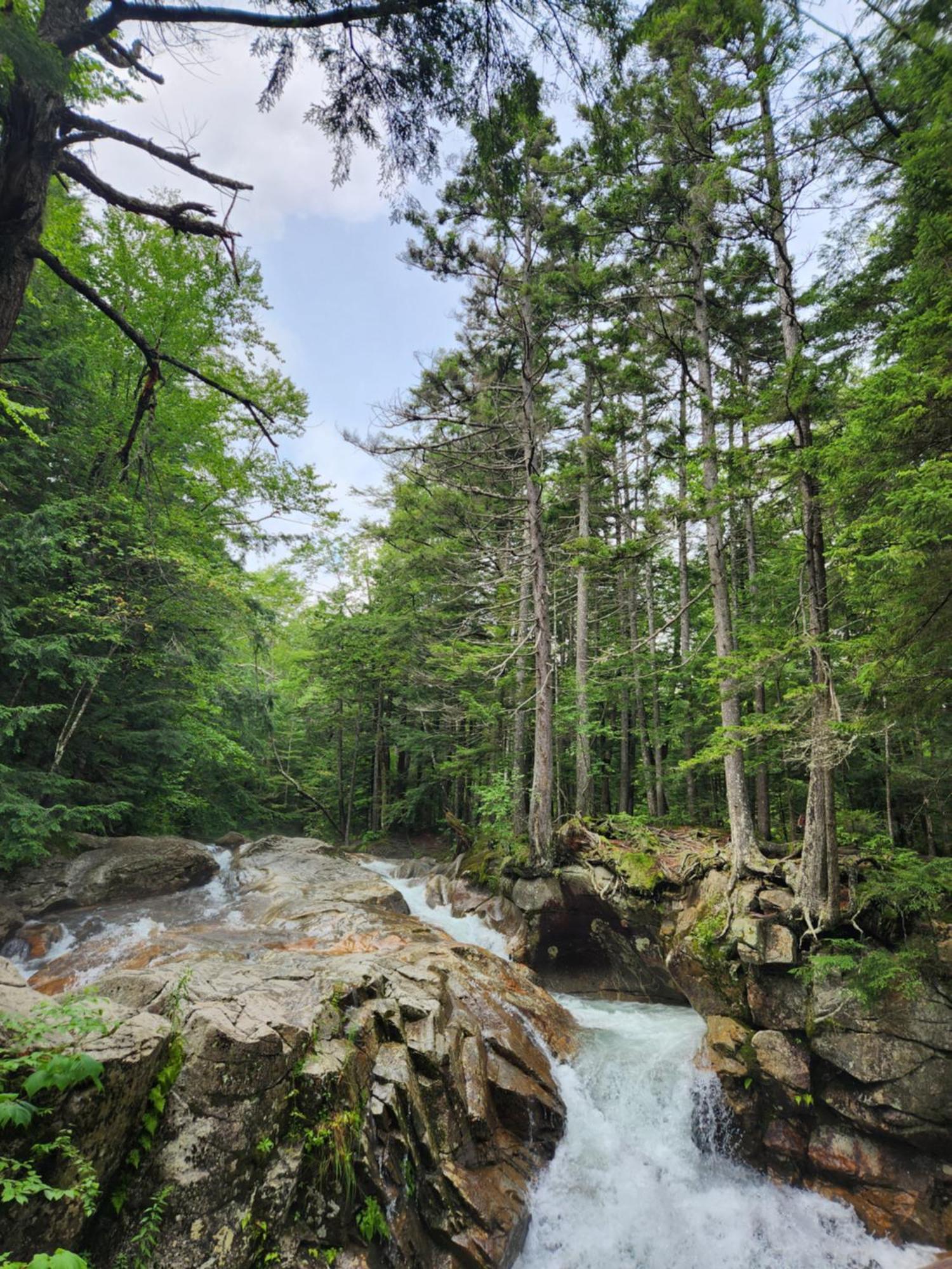 فيلا Backyard Bliss In The White Mountains لينكون المظهر الخارجي الصورة